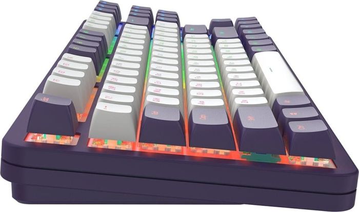 Ігрова клавіатура DARK PROJECT ALU87 Violet ENG/UA (DPKB_VIOLET_ 87_ANSI_UA)